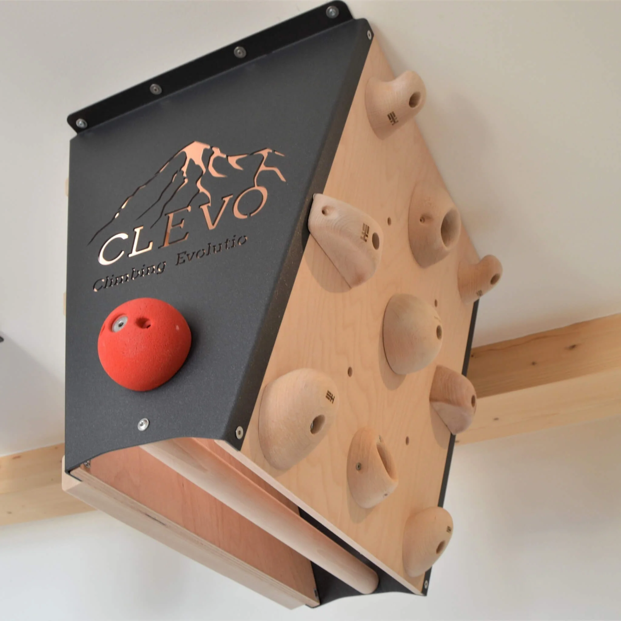 CLEVO L: Deckenbefestigung Campusboard, Klettergriffe und Klimmzugstange - Image 3