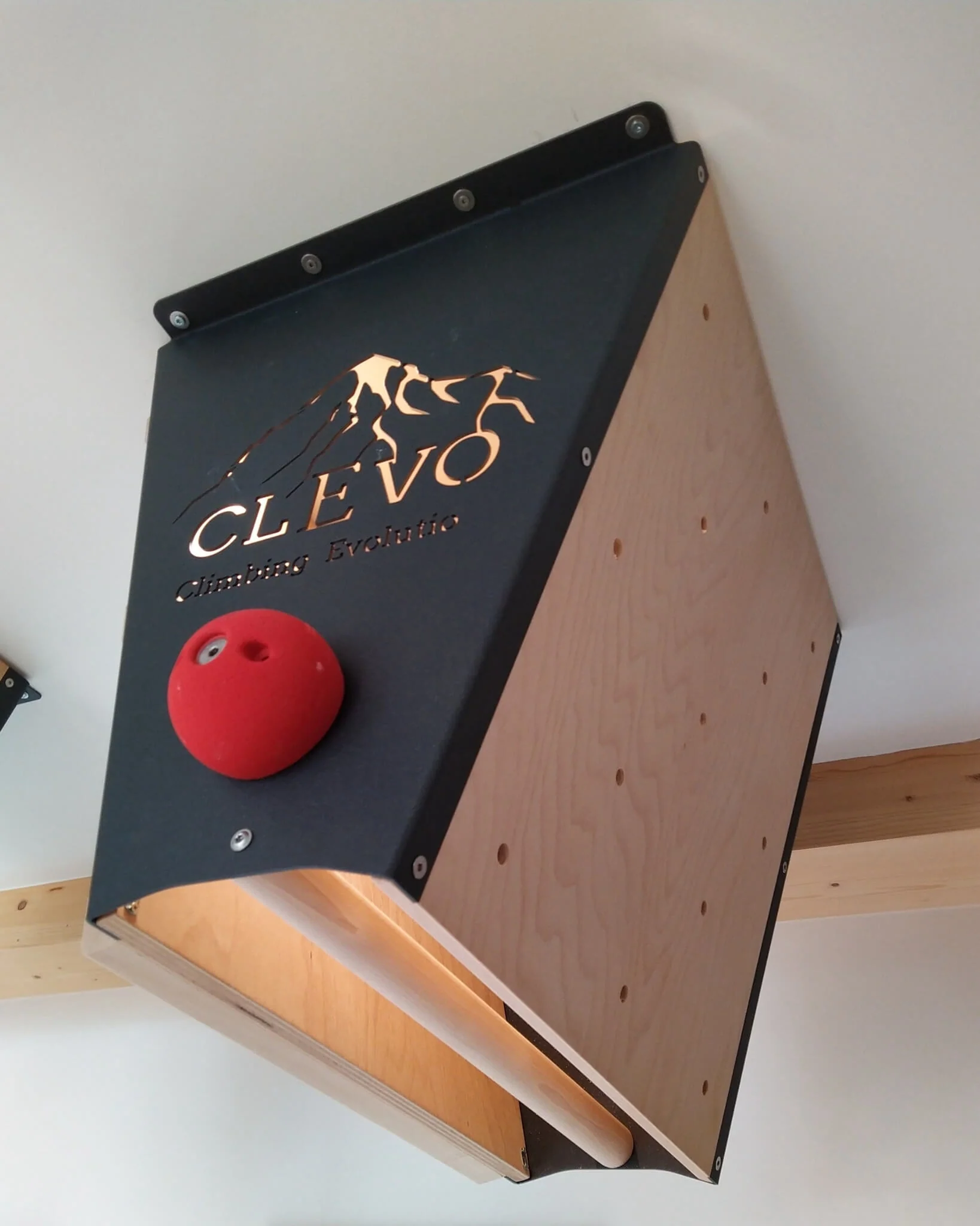 CLEVO L: Deckenbefestigung Campusboard, Klettergriffe und Klimmzugstange - Image 5