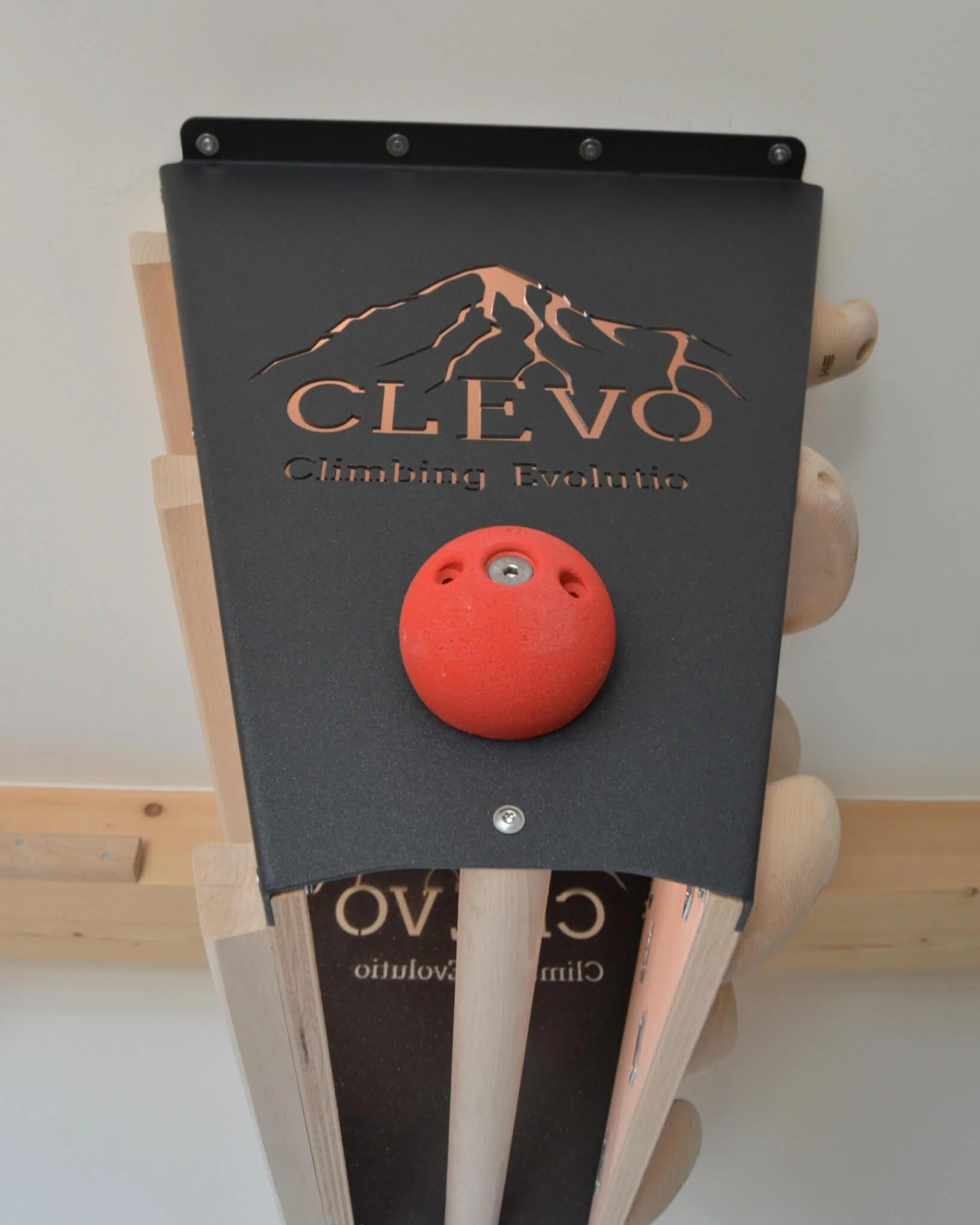 CLEVO L: Deckenbefestigung Campusboard, Klettergriffe und Klimmzugstange - Image 6